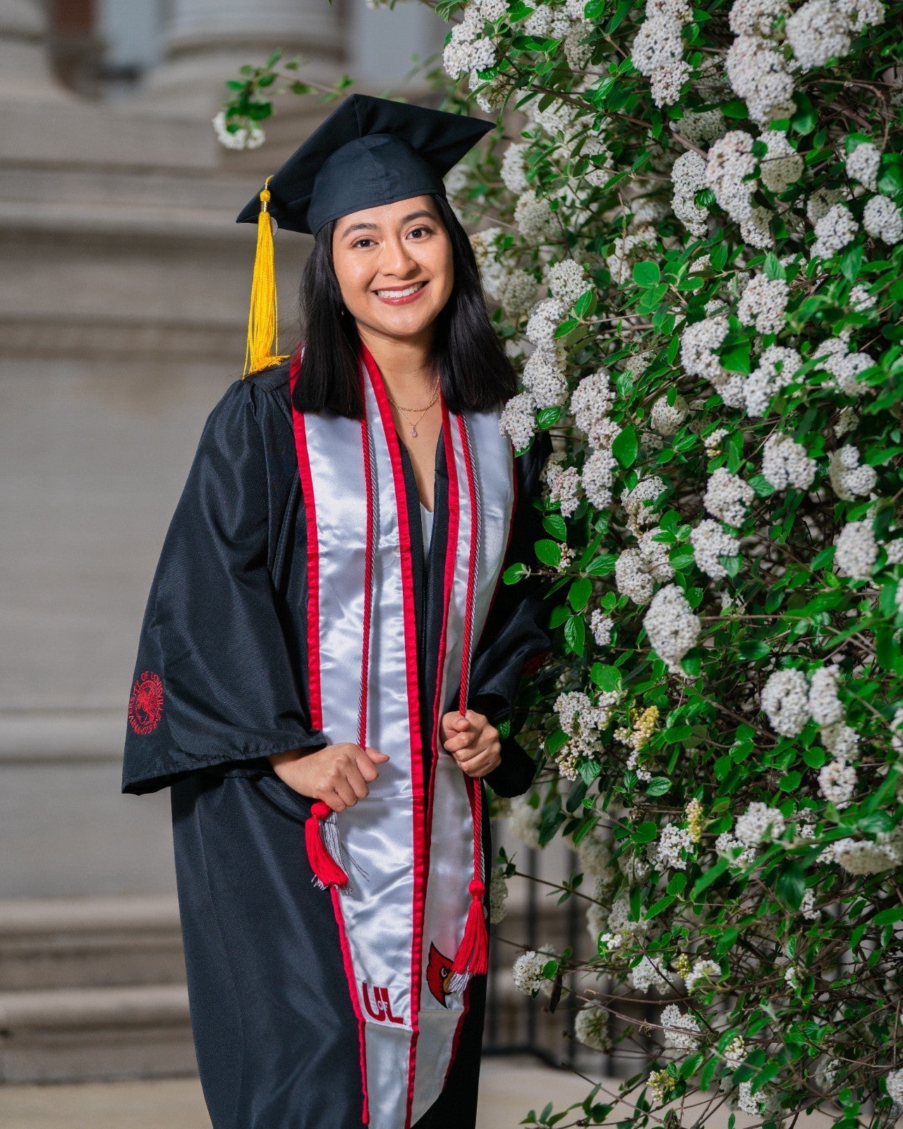 Sony a7R II 42.4MP Mirrorless Body - Low Actuations - 2x Batts & Charger - Image 11